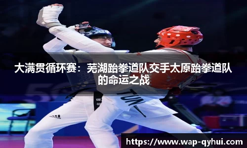 QY球友会体育